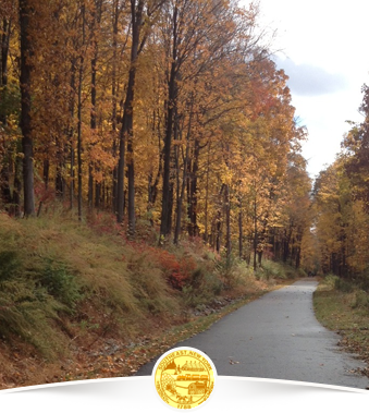 View of a park path on a fall day